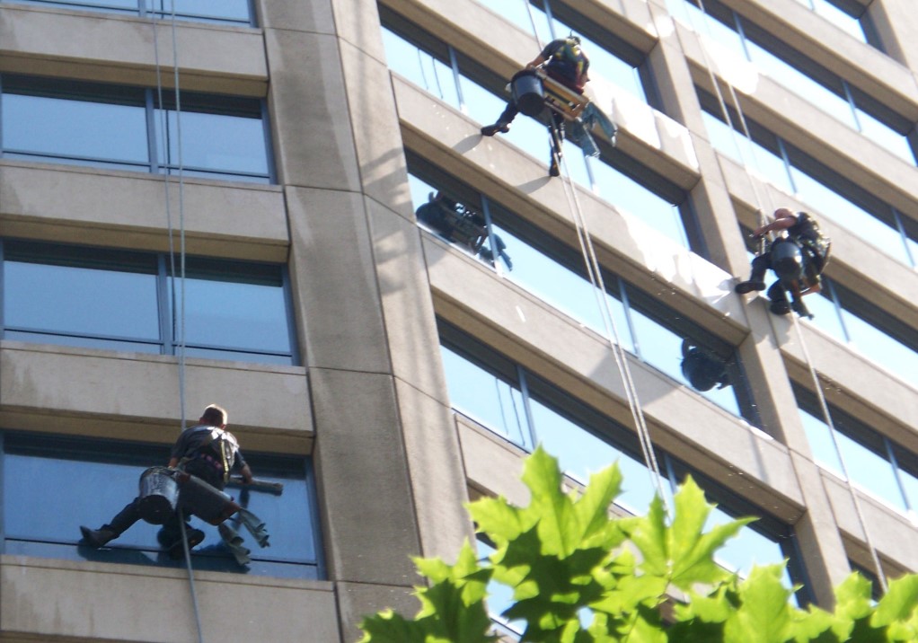 Things to consider when looking for window cleaners in Adelaide